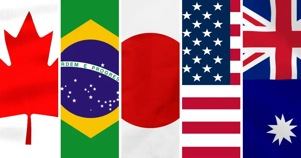 Flaggen der MDSAP-Teilnehmerländer Kanada, Brasilien, Japan, USA und Australien im Hochformat nebeneinander