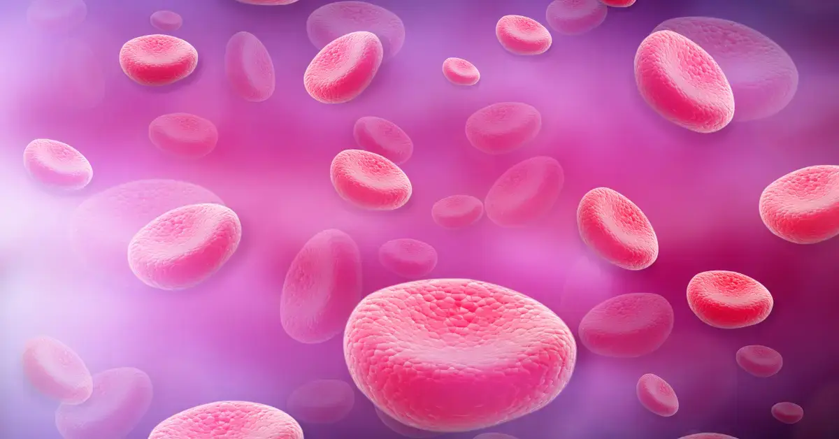 Visualisierung von Blutzellen als Symbol für den Einsatz von Nanomaterialien in Medizinprodukten und deren regulatorische Bewertung gemäß MDR.