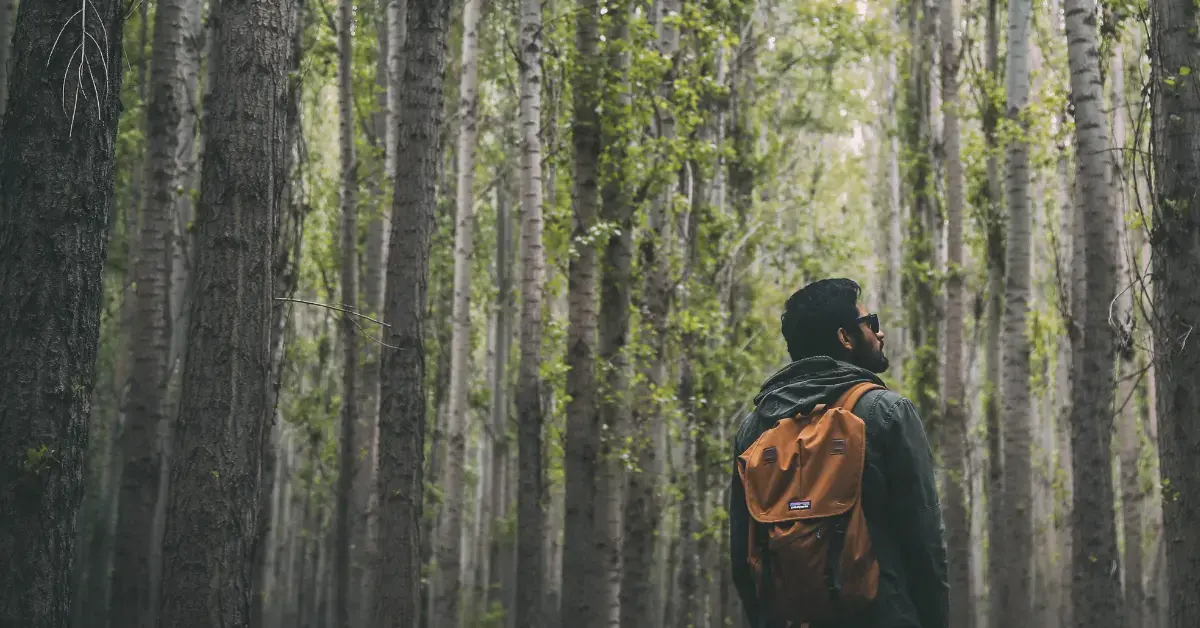 Mann mit Rucksack im Wald zwischen hohen Bäumen – Symbol für Orientierung, Entscheidungsfindung und den strukturierten Weg durch die klinische Bewertung von Medizinprodukten.